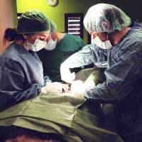 Top surgeons for breast augmentation image